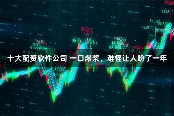 十大配资软件公司 一口爆浆，难怪让人盼了一年