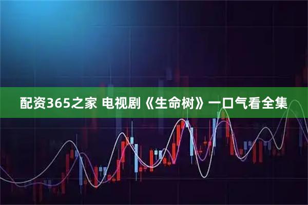 配资365之家 电视剧《生命树》一口气看全集
